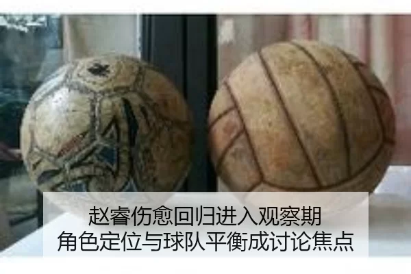 zhao-rui-shang-yu-hui-gui-jin-ru-guan-cha-qi-jue-se-ding-wei-yu-qiu-dui-ping-heng-cheng-tao-lun-jiao-dian-2-851.jpg